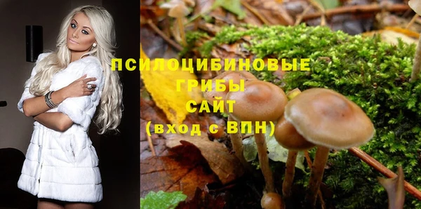спиды Алзамай