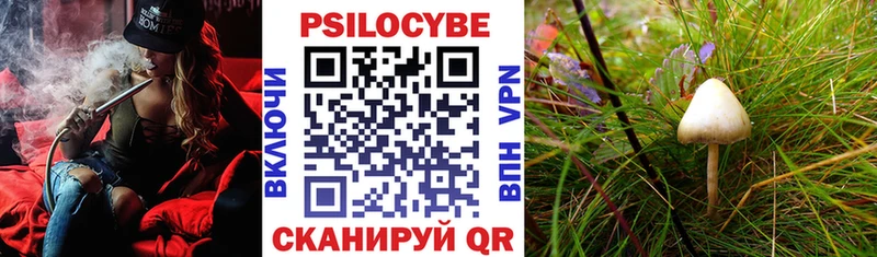 Псилоцибиновые грибы MAGIC MUSHROOMS  купить  сайты  Ухта 